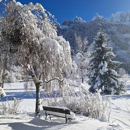 Appartamento Les Tussilages - Terrasse Vue Mont-Blanc Chamonix Esterno foto