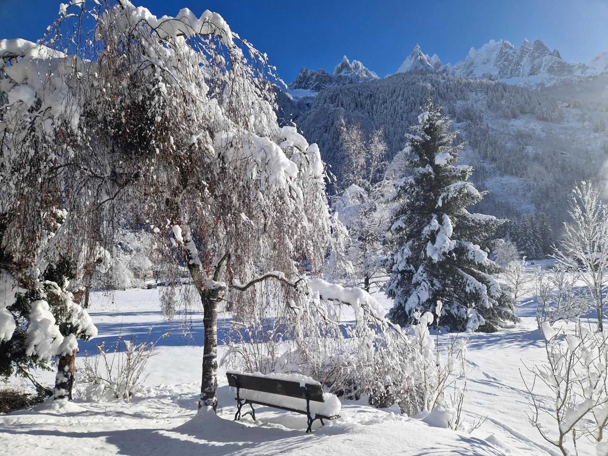 Apartamento Les Tussilages - Terrasse Vue Mont-blanc Chamonix Mont Blanc