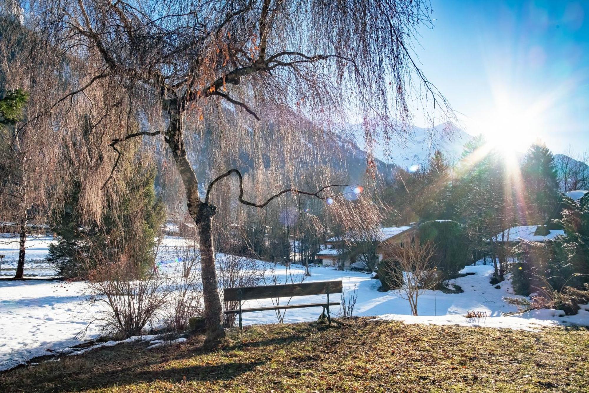 Apartamento Les Tussilages - Terrasse Vue Mont-blanc *